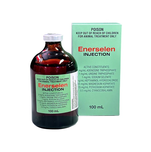 Enerselene Injectable