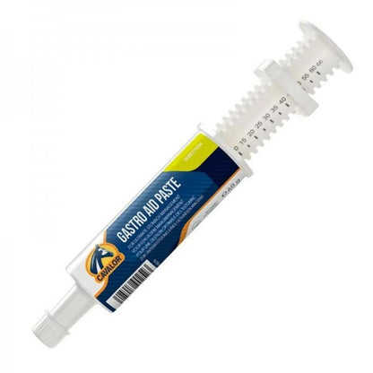 Cavalor Gastro Aid Paste