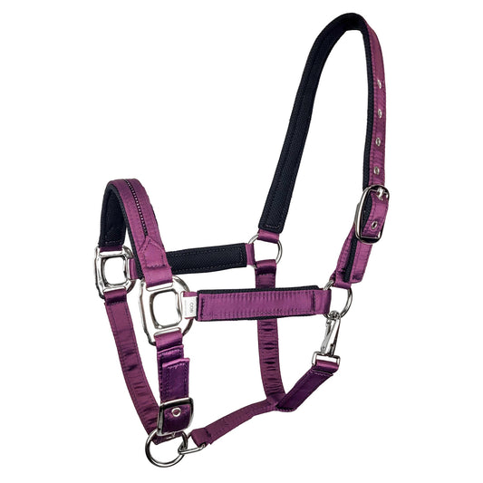 Gloria Halter - Cob