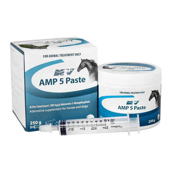 AMP 5 Paste