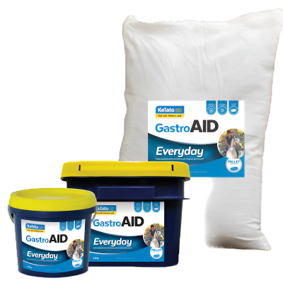 GastroAID Everyday