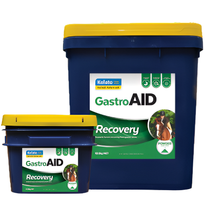 GastroAID Recovery