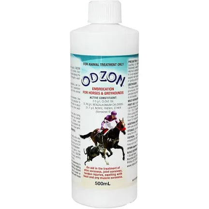 Odzon