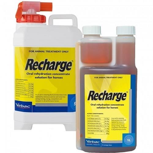 Recharge for Horses