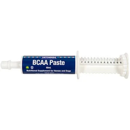 Vetsense BCAA Paste