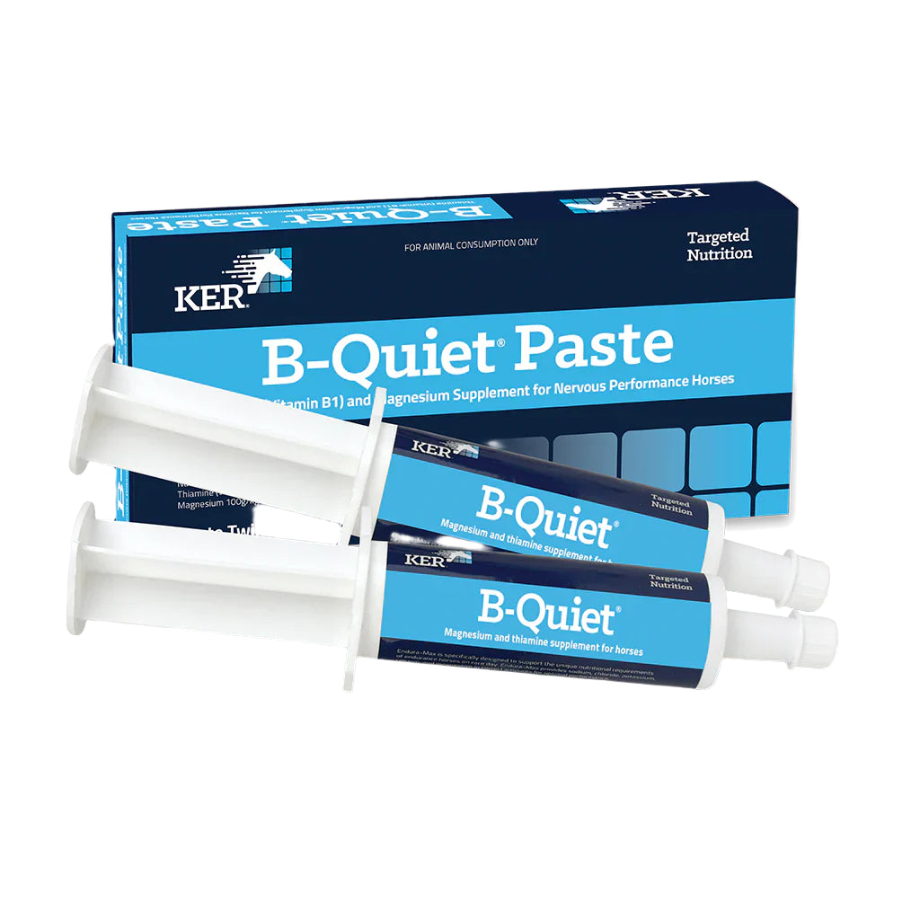B-Quiet Paste