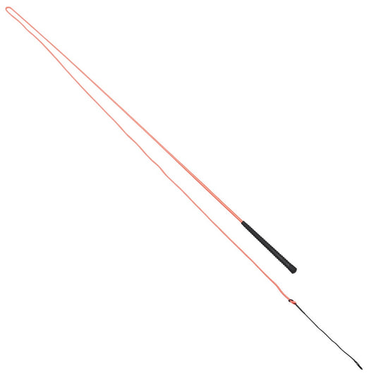 Neon Lunge Whip