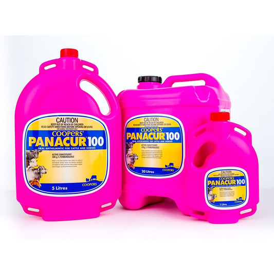 Coopers Panacur 100