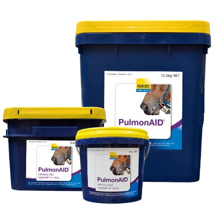 PulmonAID Powder