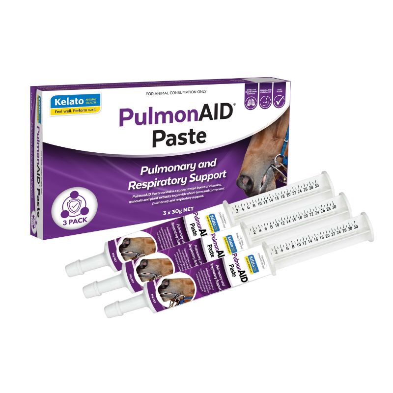 PulomAID Paste