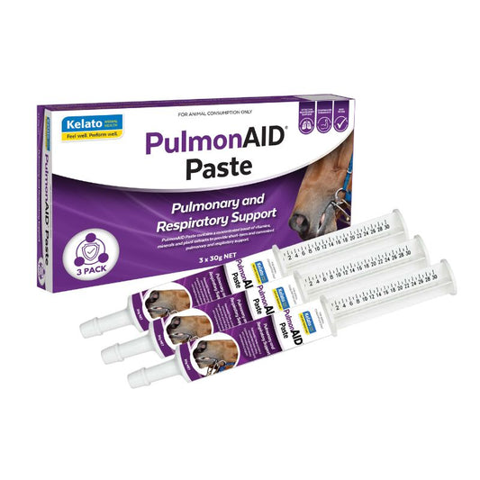 PulomAID Paste