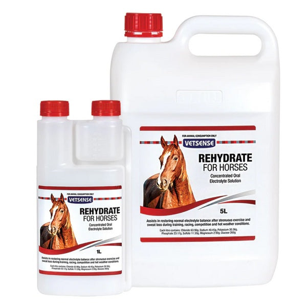 Rehydrate for Horses