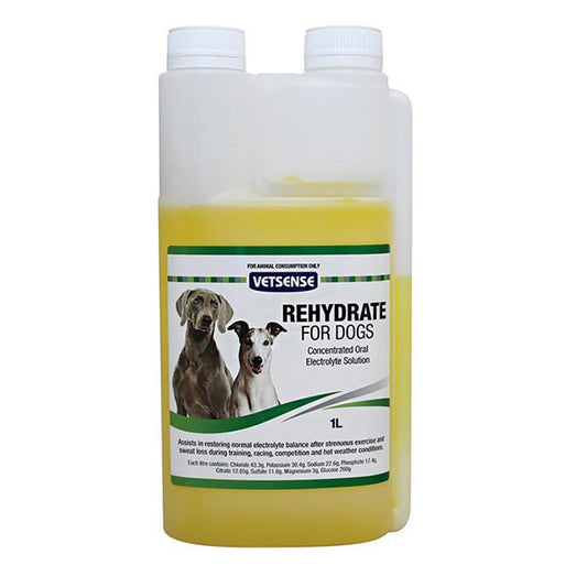 Rehydrate for Dogs