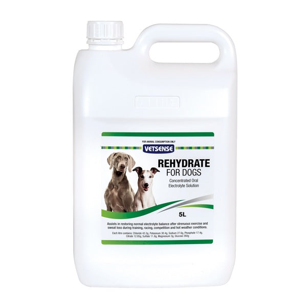 Rehydrate for Dogs