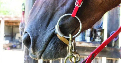 Rubber Band Tongue Tie