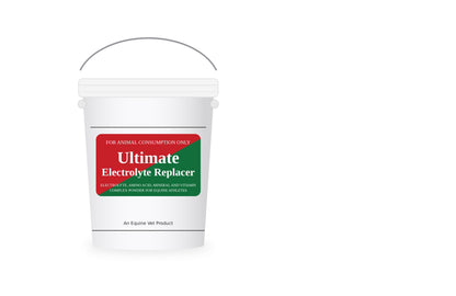 Ultimate Electrolyte Replacer