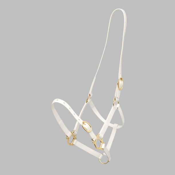 Zilco 19mm PN Halter - Cob