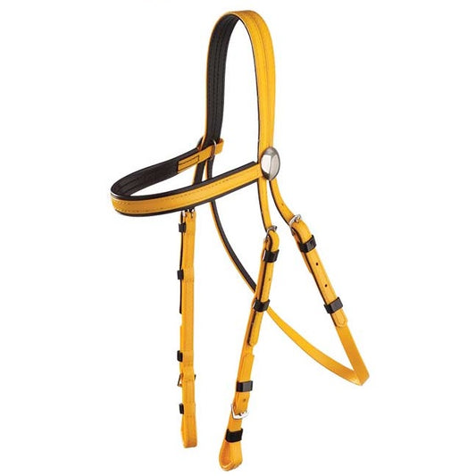 Race Bridle Black Trim