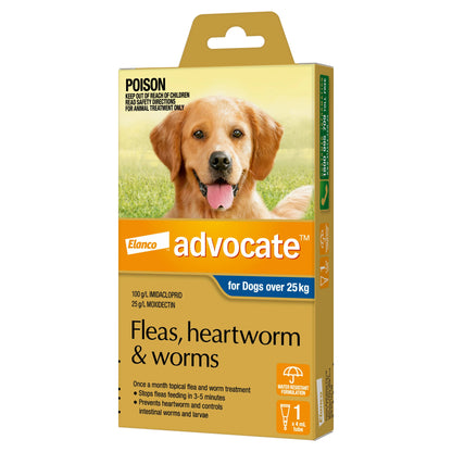 Advocate Dog