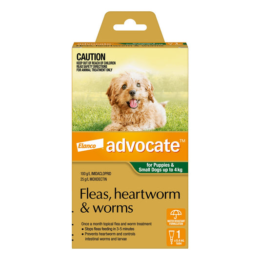 Advocate Dog