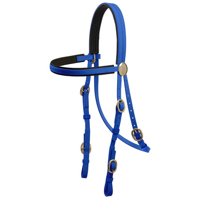 Brass Buckle Bridle