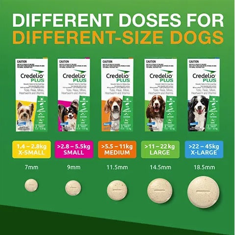Credelio Plus