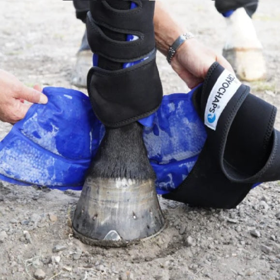 Cryochaps Absolute Ice Wrap Pair Pastern + Hocks + Knees