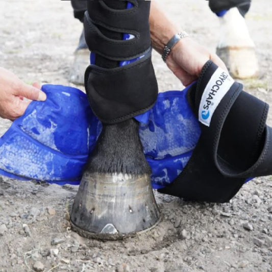 Cryochaps Absolute Ice Wrap Pair Pastern + Hocks + Knees