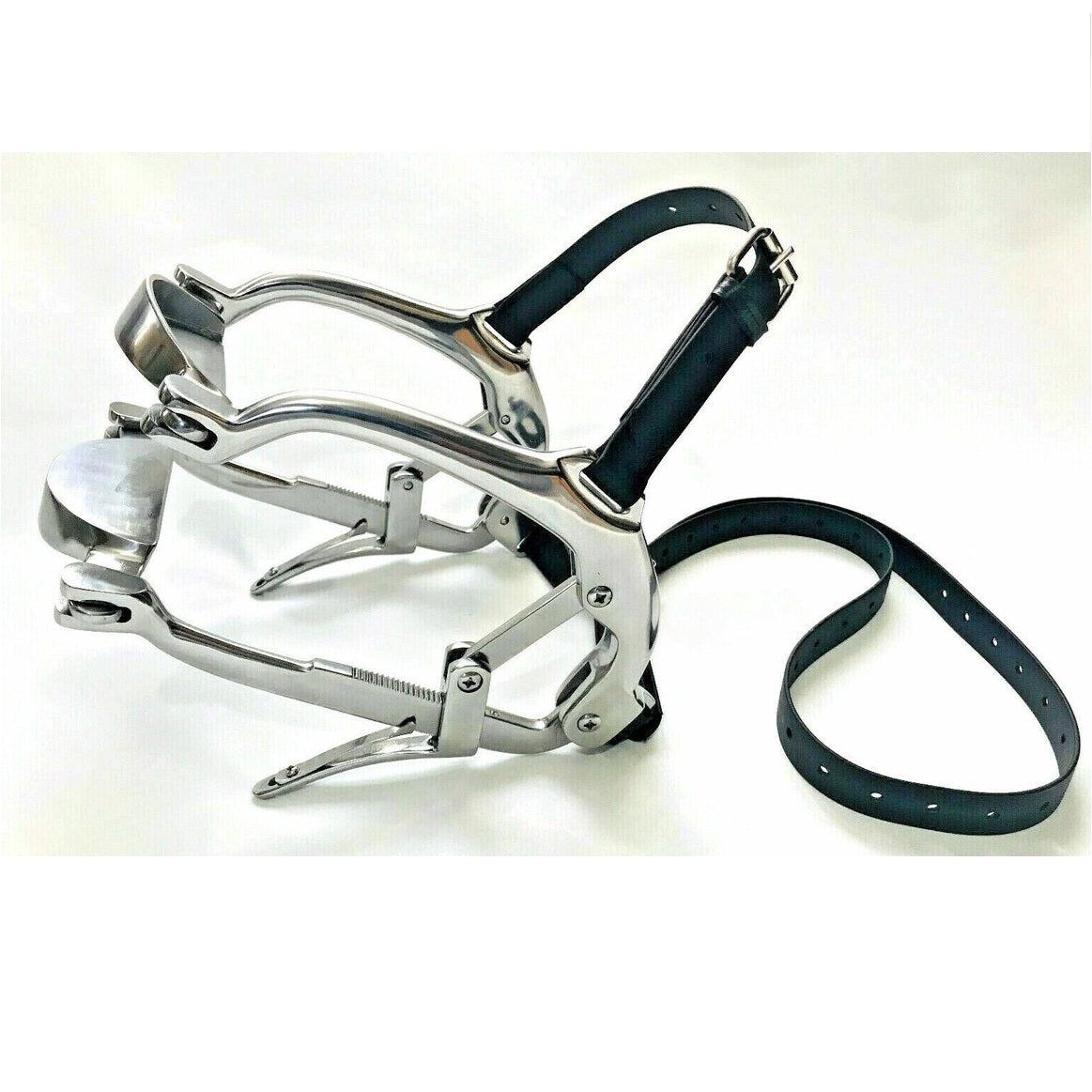 Dental Gag