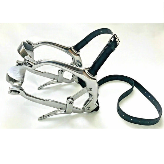 Dental Gag