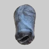 Plastic Rasp Handle