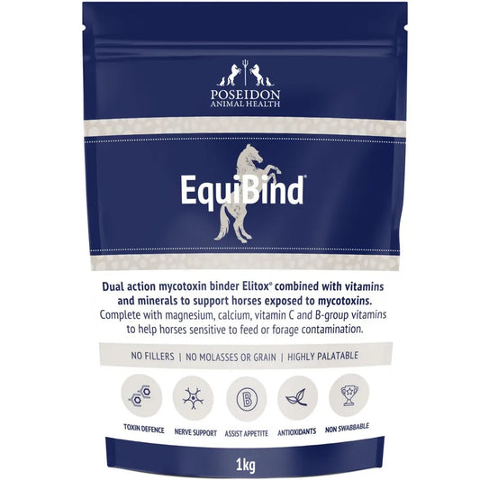 EquiBind