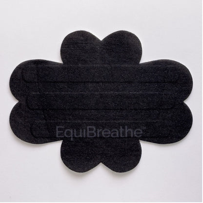 EquiBreathe