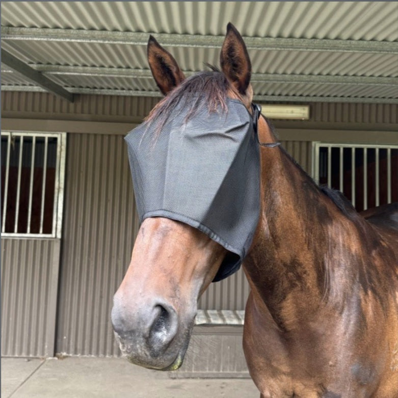 Everyday Fly Mask
