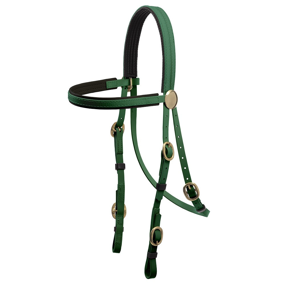 Brass Buckle Bridle