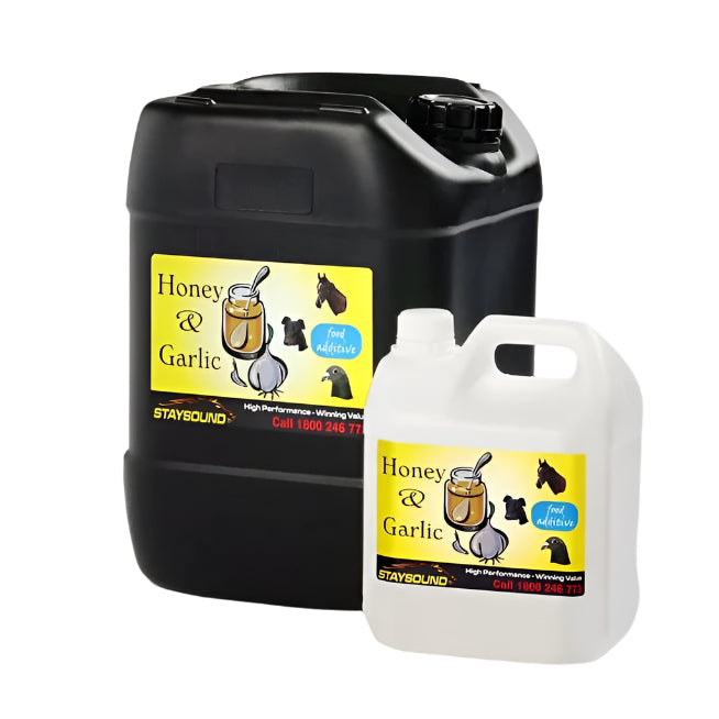 Staysound Garlic & Honey