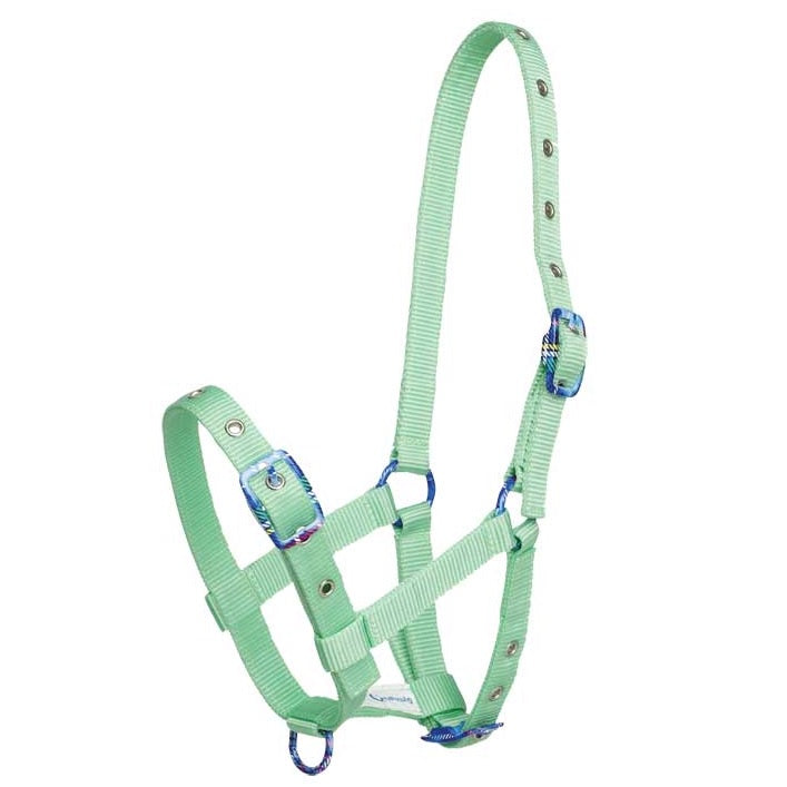 Foal Halter