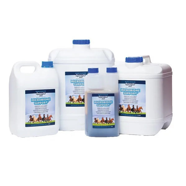 Dynavyte Microbiome Support