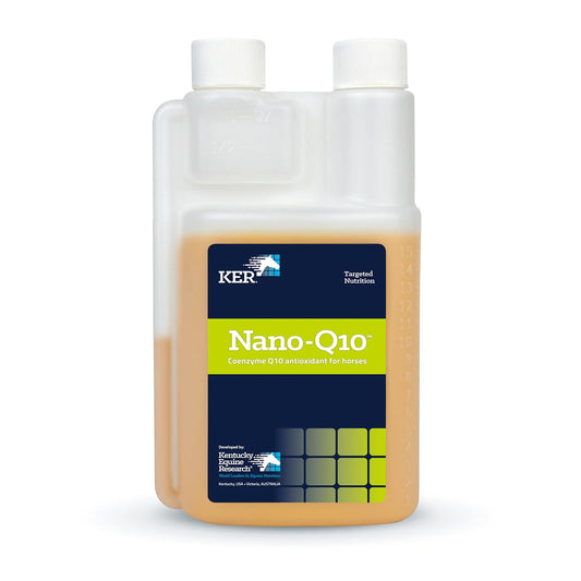 Nano - Q10