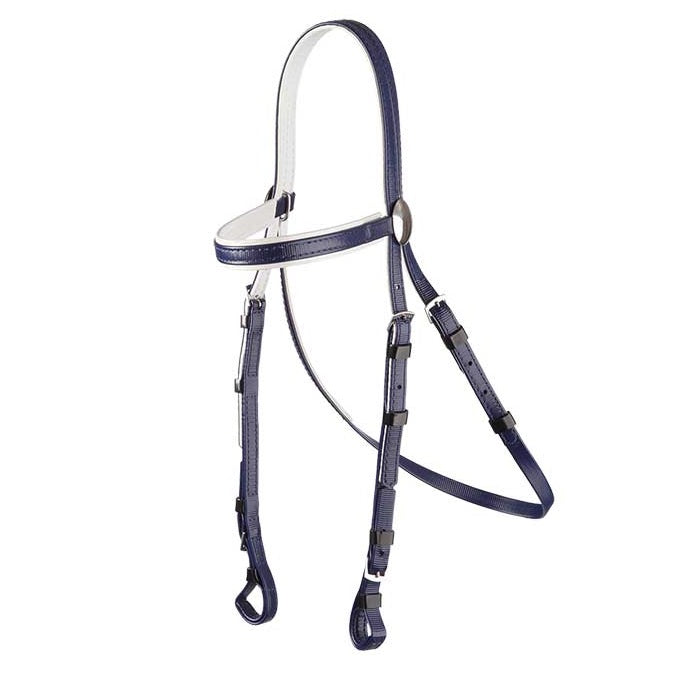 Race Bridle White Trim