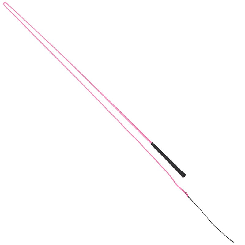 Neon Lunge Whip