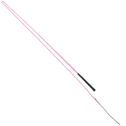 Neon Lunge Whip