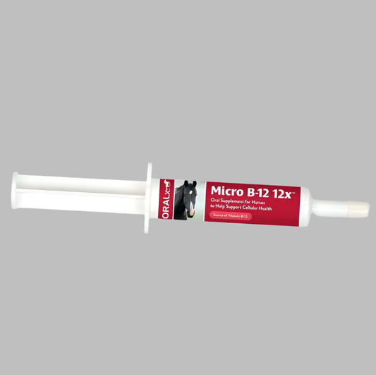 Oralx B12 Paste