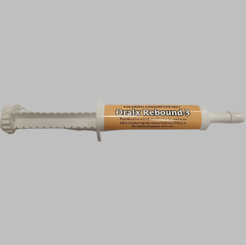 Oralx Rebound Paste