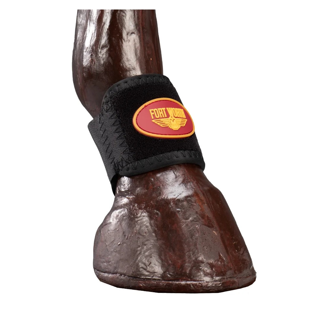Fort Worth Pastern Wrap