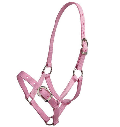 Pony Halter