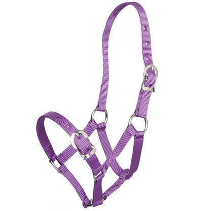 Pony Halter