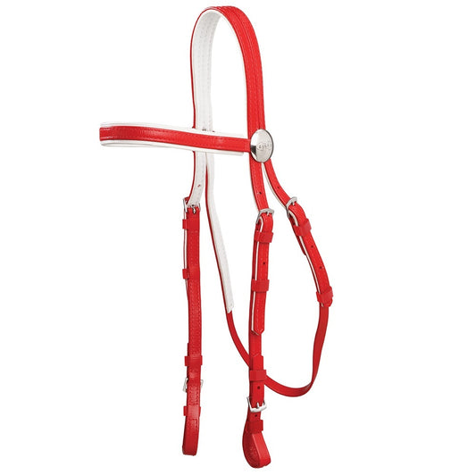 Race Bridle White Trim