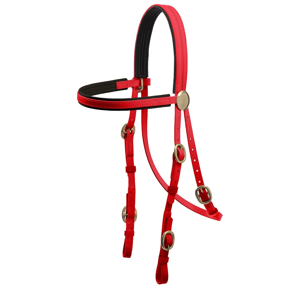 Brass Buckle Bridle