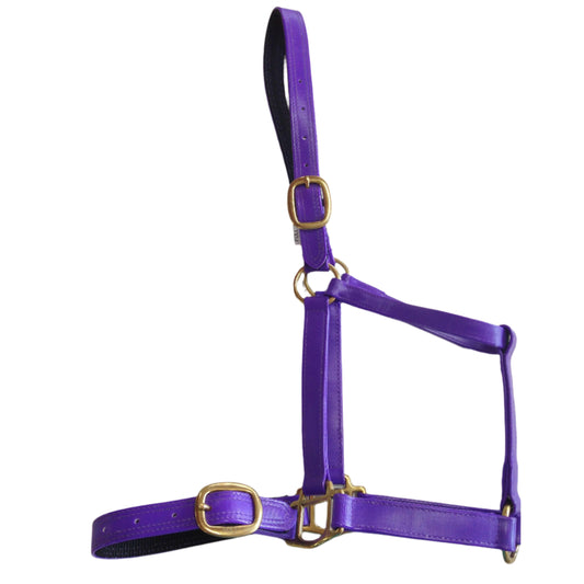Rio Halters